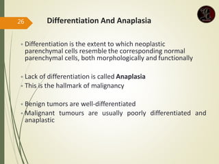 • Differentiation is the extent to which neoplastic
parenchymal cells resemble the corresponding normal
parenchymal cells, both morphologically and functionally
• Lack of differentiation is called Anaplasia
• This is the hallmark of malignancy
• Benign tumors are well-differentiated
• Malignant tumours are usually poorly differentiated and
anaplastic
Differentiation And Anaplasia
26
 