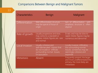 Comparisons Between Benign and Malignant Tumors
Characteristics Benign Malignant
Differentiation Well differentiated; structure
may be typical of tissue of
origin
lack of differentiation with
anaplasia; structure is often
atypical
Rate of growth Usually progressive and slow;
may come to a standstill or
regress; mitotic figures are rare
and normal
Erratic and may be slow to
rapid; mitotic figures may be
numerous and abnormal
Local invasion Usually cohesive and
well-demarcated masses that
do not invade or infiltrate
surrounding normal tissues;
Encapsulation
Locally invasive, infiltrating
the surrounding normal
tissues; sometimes may be
seemingly cohesive and
expansile
Metastasis Absent Frequently present; the larger
and more undifferentiated the
primary, the more likely are
metastases
33
 