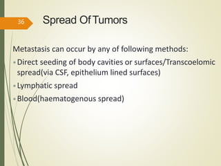 Spread OfTumors
Metastasis can occur by any of following methods:
•Direct seeding of body cavities or surfaces/Transcoelomic
spread(via CSF, epithelium lined surfaces)
•Lymphatic spread
•Blood(haematogenous spread)
36
 