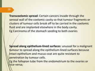 38
Transcoelomic spread: Certain cancers invade through the
serosal wall of the coelomic cavity so that tumour fragments or
clusters of tumour cells break off to be carried in the coelomic
fluid and are implanted elsewhere in the body cavity.
Eg Carcinoma of the stomach seeding to both ovaries
Spread along epithelium-lined surfaces: unusual for a malignant
tumour to spread along the epithelium-lined surfaces because
intact epithelium and mucus coat are quite resistant to
penetration by tumour cells.
Eg the fallopian tube from the endometrium to the ovaries or
vice-versa;
 