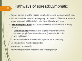 Pathways of spread:Lymphatic
• Tumors spread is by the nearby lymphatic vessels(regional lymph node)
• Follows natural routes of drainage e.g carcinomas of breast from outer
upper quadrant will first drain into the axillary lymph nodes.
• Sentinel lymph node: first node to receive flow from the primary
tumor
• Virchow’s node: metastasis to supraclavicular LN which
receives lymph from visceral cancer (stomach, S.I, colon
and gall bladder)
• Radiolabeled tracer & colored dyes for S.L.N mapping.
• LN enlargement may be caused by:-
-growth of cancer cells
-reactive hyperplasia; may limit the cancer growth
41
 