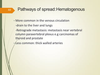 Pathways of spread:Hematogenous
• More common in the venous circulation
-drain to the liver and lungs
-Retrograde metastasis: metastasis near vertebral
column paravertebral plexus e.g carcinomas of
thyroid and prostate
• Less common: thick walled arteries
44
 
