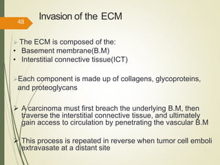 Invasion of the ECM
 The ECM is composed of the:
• Basement membrane(B.M)
• Interstitial connective tissue(ICT)
Each component is made up of collagens, glycoproteins,
and proteoglycans
 A carcinoma must first breach the underlying B.M, then
traverse the interstitial connective tissue, and ultimately
gain access to circulation by penetrating the vascular B.M
 This process is repeated in reverse when tumor cell emboli
extravasate at a distant site
48
 