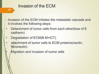 Invasion of the ECM
• Invasion of the ECM initiates the metastatic cascade and
it involves the following steps:
• Detachment of tumor cells from each other(loss of E
cadherin)
• Degradation of ECM(B.M+ICT)
• attachment of tumor cells to ECM proteins(nectin,
fibronectin)
• Migration and invasion of tumor cells
49
 