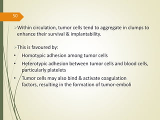 Within circulation, tumor cells tend to aggregate in clumps to
enhance their survival & implantability.
This is favoured by:
• Homotypic adhesion among tumor cells
• Heterotypic adhesion between tumor cells and blood cells,
particularly platelets
• Tumor cells may also bind & activate coagulation
factors, resulting in the formation of tumor-emboli
50
 