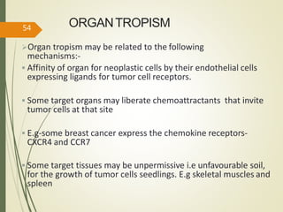ORGANTROPISM
Organ tropism may be related to the following
mechanisms:-
 Affinity of organ for neoplastic cells by their endothelial cells
expressing ligands for tumor cell receptors.
 Some target organs may liberate chemoattractants that invite
tumor cells at that site
 E.g-some breast cancer express the chemokine receptors-
CXCR4 and CCR7
 Some target tissues may be unpermissive i.e unfavourable soil,
for the growth of tumor cells seedlings. E.g skeletal muscles and
spleen
54
 