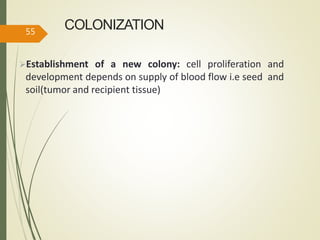 COLONIZATION
Establishment of a new colony: cell proliferation and
development depends on supply of blood flow i.e seed and
soil(tumor and recipient tissue)
55
 