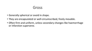 NEOPLASIA.pptx