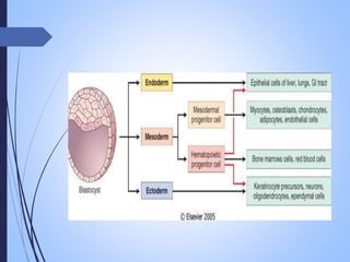 neoplasia , carcinogenesis, tumour market