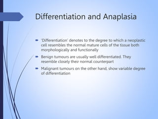 Differentiation and Anaplasia
 ‘Differentiation’ denotes to the degree to which a neoplastic
cell resembles the normal mature cells of the tissue both
morphologically and functionally
 Benign tumours are usually well differentiated. They
resemble closely their normal counterpart
 Malignant tumours on the other hand, show variable degree
of differentiation
 
