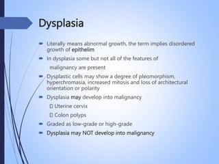 Dysplasia
 Literally means abnormal growth, the term implies disordered
growth of epithelim
 In dysplasia some but not all of the features of
malignancy are present
 Dysplastic cells may show a degree of pleomorphism,
hyperchromasia, increased mitosis and loss of architectural
orientation or polarity
 Dysplasia may develop into malignancy
Uterine cervix
Colon polyps
 Graded as low-grade or high-grade
 Dysplasia may NOT develop into malignancy
 