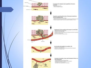 neoplasia , carcinogenesis, tumour market