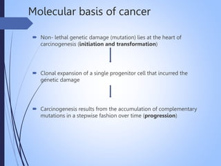 Molecular basis of cancer
 Non- lethal genetic damage (mutation) lies at the heart of
carcinogenesis (initiation and transformation)
 Clonal expansion of a single progenitor cell that incurred the
genetic damage
 Carcinogenesis results from the accumulation of complementary
mutations in a stepwise fashion over time (progression)
 