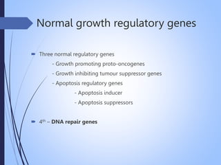 Normal growth regulatory genes
 Three normal regulatory genes
- Growth promoting proto-oncogenes
- Growth inhibiting tumour suppressor genes
- Apoptosis regulatory genes
- Apoptosis inducer
- Apoptosis suppressors
 4th – DNA repair genes
 