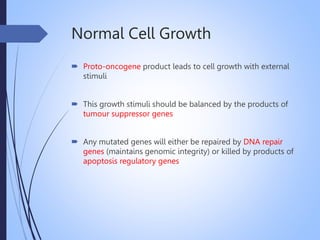 Normal Cell Growth
 Proto-oncogene product leads to cell growth with external
stimuli
 This growth stimuli should be balanced by the products of
tumour suppressor genes
 Any mutated genes will either be repaired by DNA repair
genes (maintains genomic integrity) or killed by products of
apoptosis regulatory genes
 