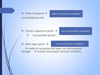  Proto-oncogenes  
uncontrolled growth
 Tumour suppressor genes 
 Uncontrolled growth
 DNA repair genes 
 unable to recognize and repair non lethal genetic
damage  Mutator phenotype/ Genomic instability
Gain of function mutation
Loss of function mutation
Loss of function mutation
 