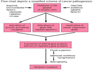 neoplasia , carcinogenesis, tumour market