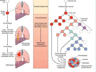 neoplasia , carcinogenesis, tumour market