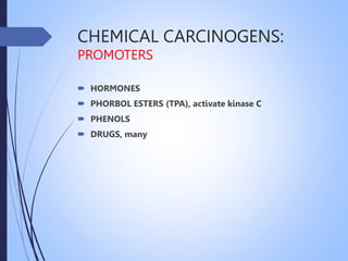 CHEMICAL CARCINOGENS:
PROMOTERS
 HORMONES
 PHORBOL ESTERS (TPA), activate kinase C
 PHENOLS
 DRUGS, many
 