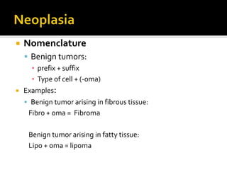  Nomenclature
 Benign tumors:
▪ prefix + suffix
▪ Type of cell + (-oma)
 Examples:
 Benign tumor arising in fibrous tissue:
Fibro + oma = Fibroma
Benign tumor arising in fatty tissue:
Lipo + oma = lipoma
 