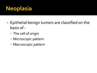Neoplasia,Growth,definition,Differentiation, .ppt