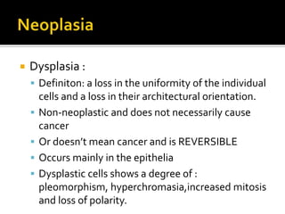  Dysplasia :
 Definiton: a loss in the uniformity of the individual
cells and a loss in their architectural orientation.
 Non-neoplastic and does not necessarily cause
cancer
 Or doesn’t mean cancer and is REVERSIBLE
 Occurs mainly in the epithelia
 Dysplastic cells shows a degree of :
pleomorphism, hyperchromasia,increased mitosis
and loss of polarity.
 