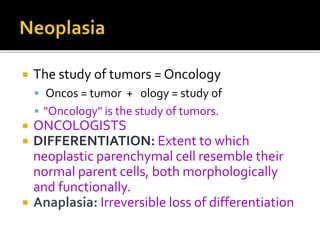 Neoplasia,Growth,definition,Differentiation, .ppt