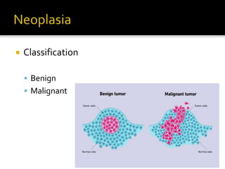  Classification
 Benign
 Malignant
 