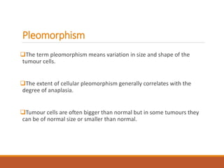 Define Pleomorphic NEOPLASIA, cancer, Benign and malignant tumor | PPTX