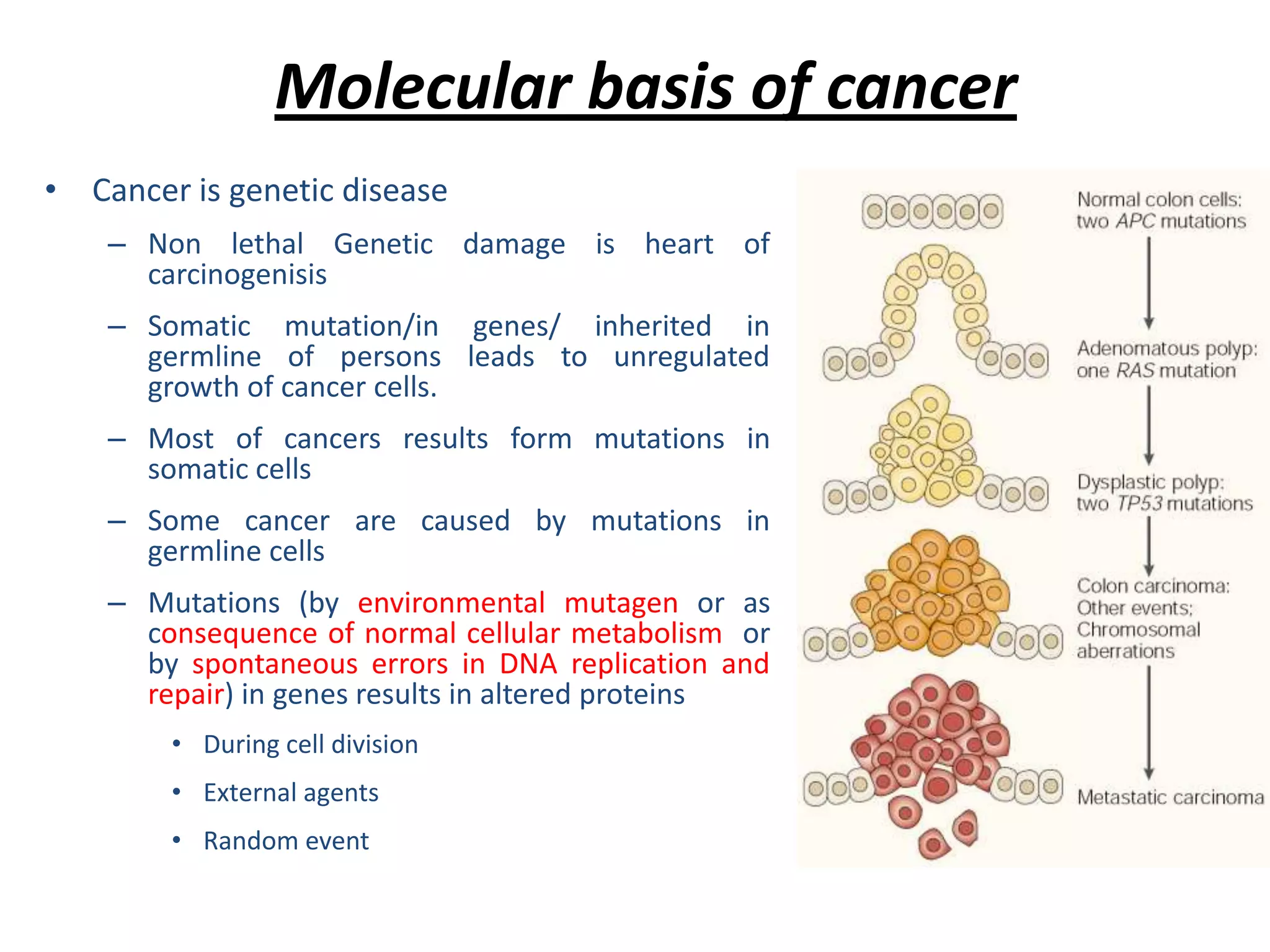 Neoplasia Clincial effects and Spread of cancer | PPTX