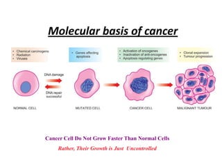 Neoplasia Clincial effects and Spread of cancer | PPTX