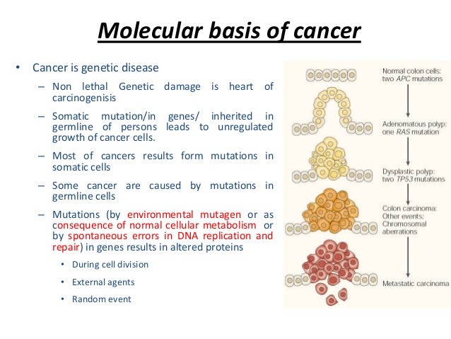 Neoplasia Clincial effects and Spread of cancer