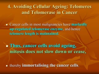 NEOPLASIA: CARCINOGENESIS | PPT