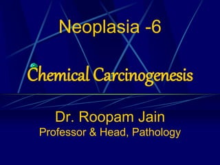 NEOPLASIA : Chemical Carcinogenesis - Lecture 6 | PPTX | Cancer ...