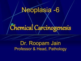 Neoplasia -6
Chemical Carcinogenesis
Dr. Roopam Jain
Professor & Head, Pathology
 