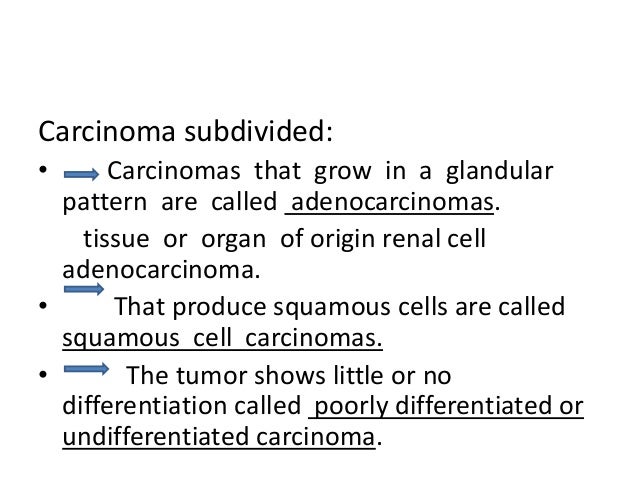 Glandular Pattern Meaning | neoplasia part 1 Glandular Pattern Meaning | neoplasia part 1