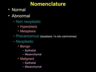Nomenclature
• Normal
• Abnormal
– Non neoplastic
• Hyperplasia
• Metaplasia
– Precancerous (dysplasia / in situ carcinomas)
– Neoplastic
• Benign
– Epithelial
– Mesenchymal
• Malignant
– Epithelial
– Mesenchymal
 