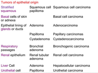 Tumors of epithelial origin
Stratified
squamous
Squamous cell
papilloma
Squamous cell carcinoma
Basal cells of skin
or adnexa
Basal cell carcinoma
Epithelial lining of
glands or ducts
Adenoma Adenocarcinoma
Papilloma Papillary carcinomas
Cystadenoma Cystadenocarcinoma
Respiratory
passages
Bronchial
adenoma
Bronchogenic carcinoma
Renal epithelium Renal tubular
adenoma
Renal cell carcinoma
Liver Cell Adenoma Hepatocellular carcinoma
Urothelial cell Papilloma Urothelial carcinoma
 