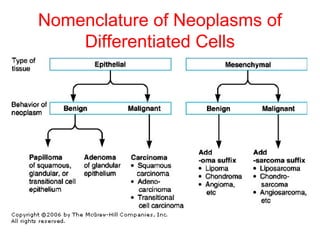 Nomenclature of Neoplasms of
Differentiated Cells
 
