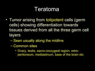 Teratoma
• Tumor arising from totipotent cells (germ
cells) showing differentiation towards
tissues derived from all the three germ cell
layers
– Seen usually along the midline
– Common sites
• Ovary, testis, sacro-coccygeal region, retro-
peritoneum, mediastinum, base of the brain etc
 