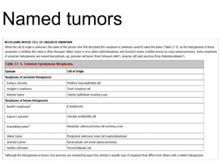 Named tumors
 