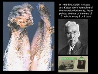 In 1915 Drs. Koichi Ichikawa
and Katsusaburo Yamagiwa of
the Hokkaido University, Japan
painted coal tar on the ears of
101 rabbits every 2 or 3 days.
 