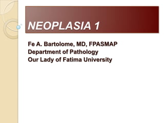 NEOPLASIA 1 Fe A. Bartolome, MD, FPASMAP Department of Pathology Our Lady of Fatima University 