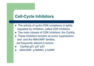 neoplasia2.pdf