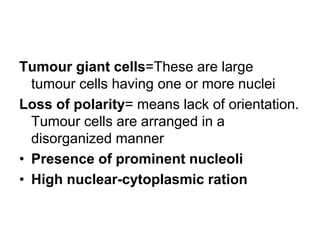 Tumour giant cells=These are large
tumour cells having one or more nuclei
Loss of polarity= means lack of orientation.
Tumour cells are arranged in a
disorganized manner
• Presence of prominent nucleoli
• High nuclear-cytoplasmic ration
 