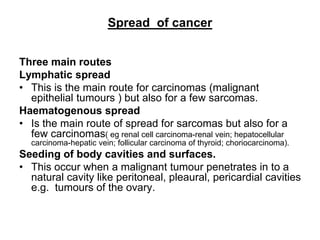 Spread of cancer
Three main routes
Lymphatic spread
• This is the main route for carcinomas (malignant
epithelial tumours ) but also for a few sarcomas.
Haematogenous spread
• Is the main route of spread for sarcomas but also for a
few carcinomas( eg renal cell carcinoma-renal vein; hepatocellular
carcinoma-hepatic vein; follicular carcinoma of thyroid; choriocarcinoma).
Seeding of body cavities and surfaces.
• This occur when a malignant tumour penetrates in to a
natural cavity like peritoneal, pleaural, pericardial cavities
e.g. tumours of the ovary.
 