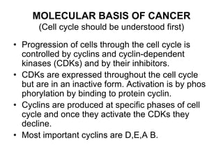 MOLECULAR BASIS OF CANCER
(Cell cycle should be understood first)
• Progression of cells through the cell cycle is
controlled by cyclins and cyclin-dependent
kinases (CDKs) and by their inhibitors.
• CDKs are expressed throughout the cell cycle
but are in an inactive form. Activation is by phos
phorylation by binding to protein cyclin.
• Cyclins are produced at specific phases of cell
cycle and once they activate the CDKs they
decline.
• Most important cyclins are D,E,A B.
 