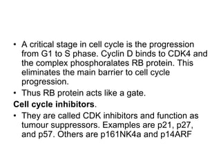 • A critical stage in cell cycle is the progression
from G1 to S phase. Cyclin D binds to CDK4 and
the complex phosphoralates RB protein. This
eliminates the main barrier to cell cycle
progression.
• Thus RB protein acts like a gate.
Cell cycle inhibitors.
• They are called CDK inhibitors and function as
tumour suppressors. Examples are p21, p27,
and p57. Others are p161NK4a and p14ARF
 