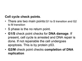 Cell cycle check points.
• There are two main points:G1 to S transition and G2
to M transition
• S phase is the no return point.
• G1/S check point checks for DNA damage. If
present, cell cycle is arrested and DNA repair is
done. If not repairable the cell undergoes
apoptosis. This is by protein p53.
• G2/M check point checks completion of DNA
replication
 