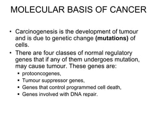 MOLECULAR BASIS OF CANCER
• Carcinogenesis is the development of tumour
and is due to genetic change (mutations) of
cells.
• There are four classes of normal regulatory
genes that if any of them undergoes mutation,
may cause tumour. These genes are:
 protooncogenes,
 Tumour suppressor genes,
 Genes that control programmed cell death,
 Genes involved with DNA repair.
 